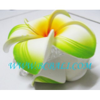 Tropical Flower Hair Clip Accessories